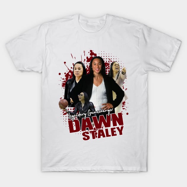 Dawn Staley Tribute T-Shirt by hadij1264